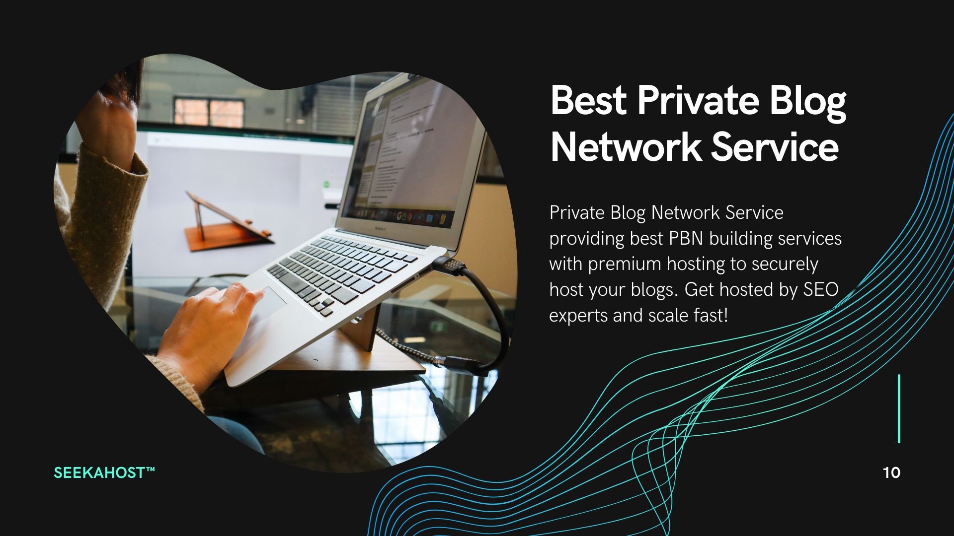 Private Blog Network Service: Building Blogs For SEO With Best PBN Hosting from SeekaHost™