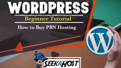 How to Buy WordPress PBN Hosting At SeekaHost Portal