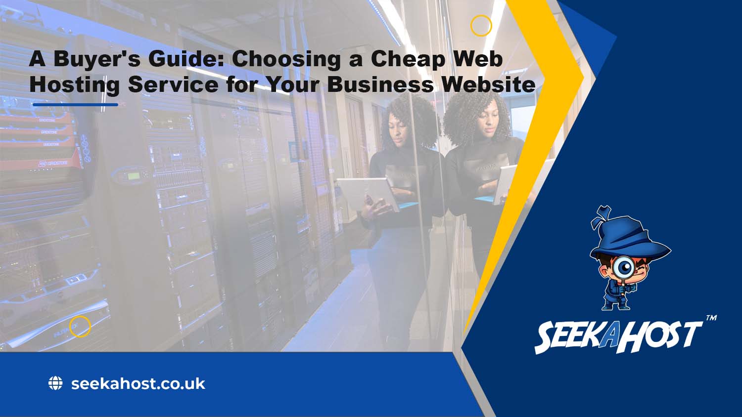 A Buyer's Guide: Choosing a Cheap Web Hosting Service for Your Business Website