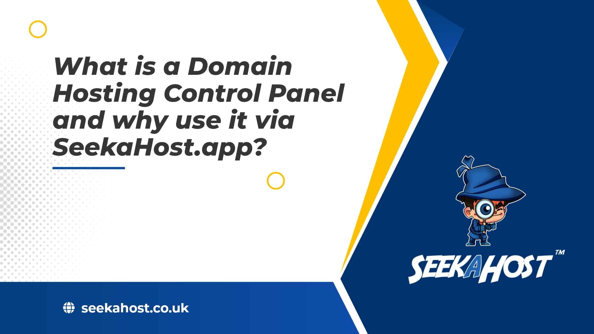 What is a Domain Hosting Control Panel and why use it via SeekaHost.app?